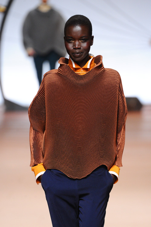 イッセイ ミヤケ(ISSEY MIYAKE) 2014-15年秋冬ウィメンズコレクション  - 写真40