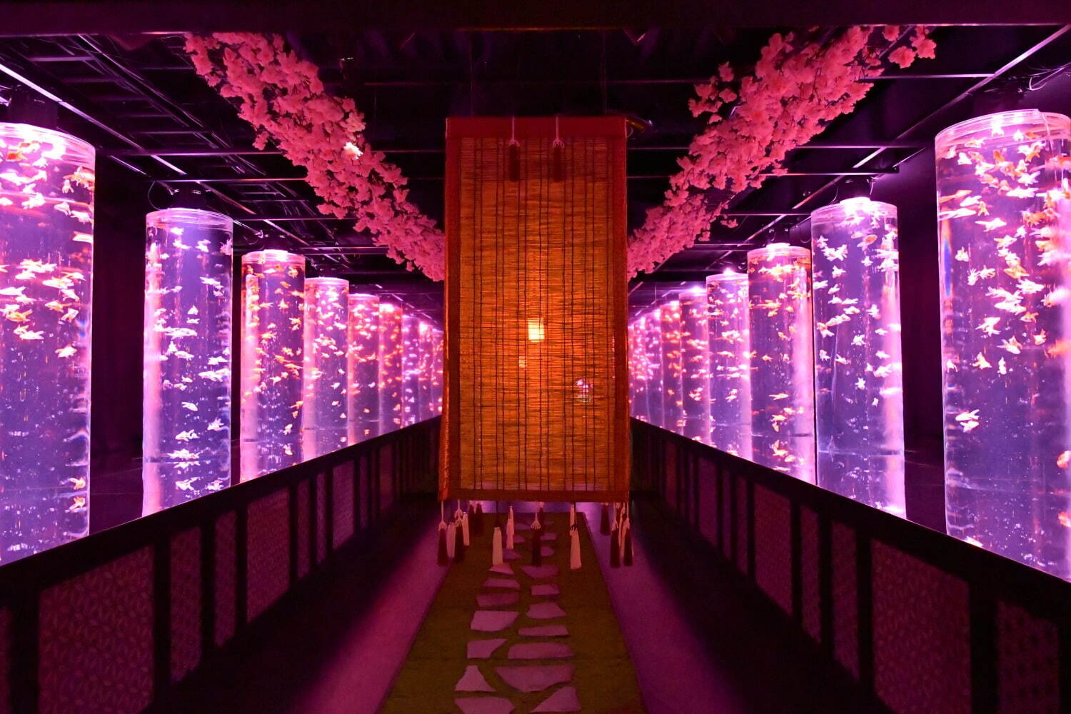 金魚アート「アートアクアリウム美術館 GINZA」“桜×金魚”の春イベント、満開の桜トンネルも｜写真1
