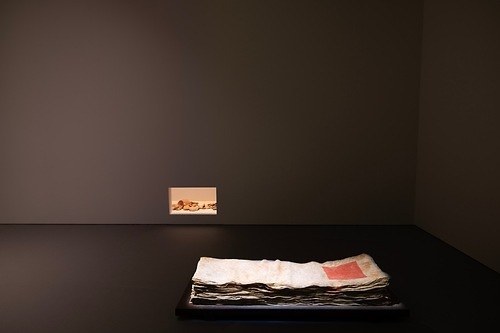 コズミックワンダー主宰AAWAAの展覧会「丹」京都で - 丹後の“辰砂”に着目、織物と土器の空間