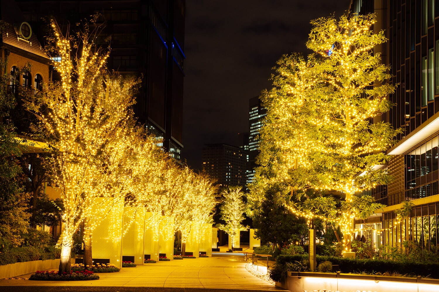 〈東京ガーデンテラス紀尾井町〉シャンパンゴールドの光が灯る冬イルミネーション