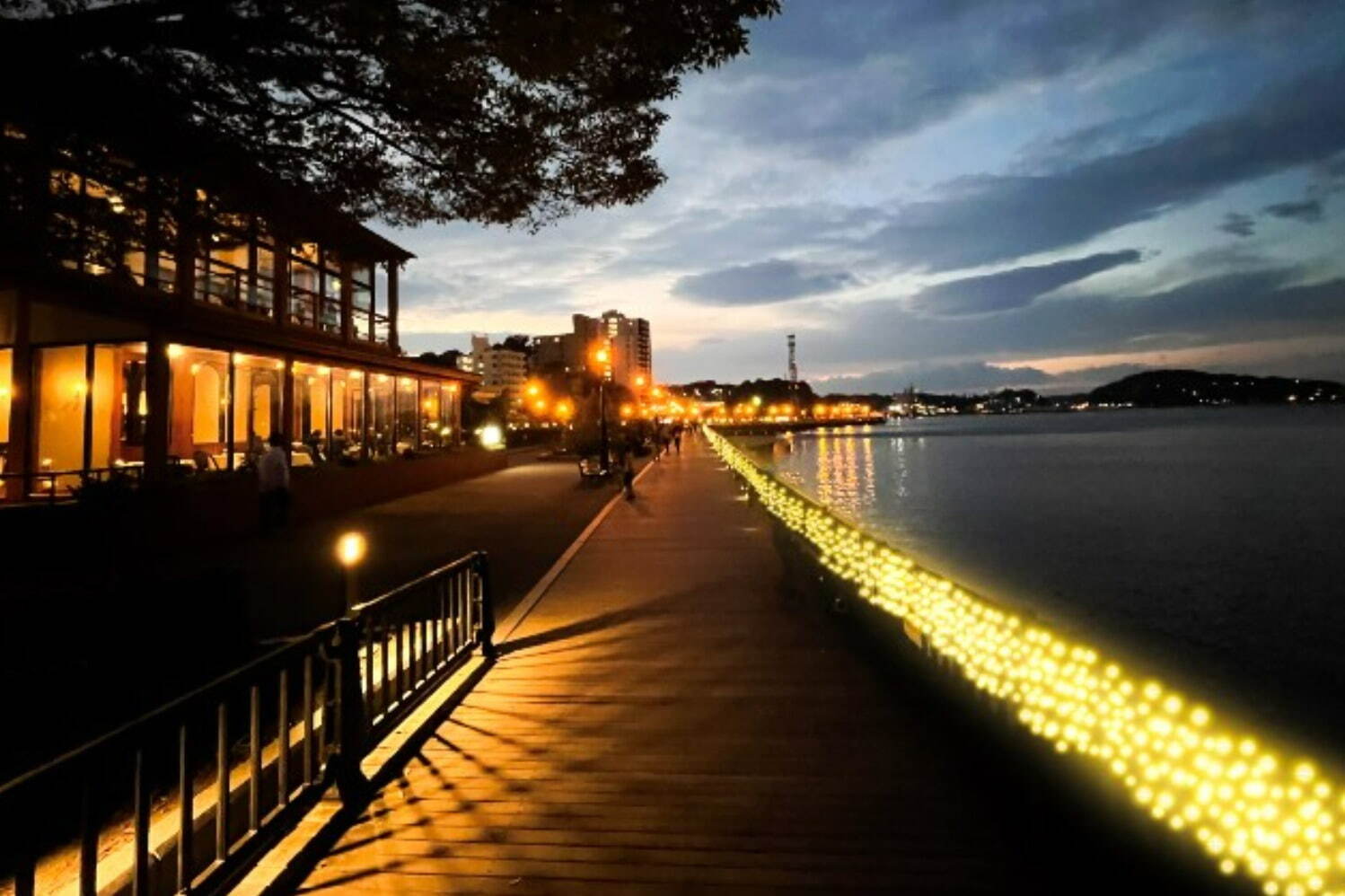〈神奈川・横須賀市ヴェルニー公園〉シャンパンゴールド色に煌めく初のイルミネーション