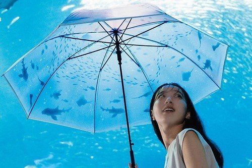  Wpc.×「新江ノ島水族館」のビニール傘が全国発売、“まるで水中”クラゲが浮かぶ長傘＆折りたたみ傘