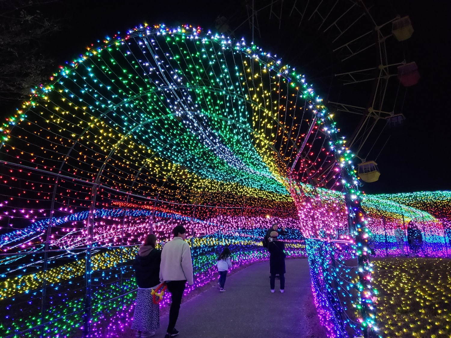 東京ドイツ村、約300万球輝くウインターイルミネーション - 観覧車から見下ろす3Dイルミアートも｜写真5