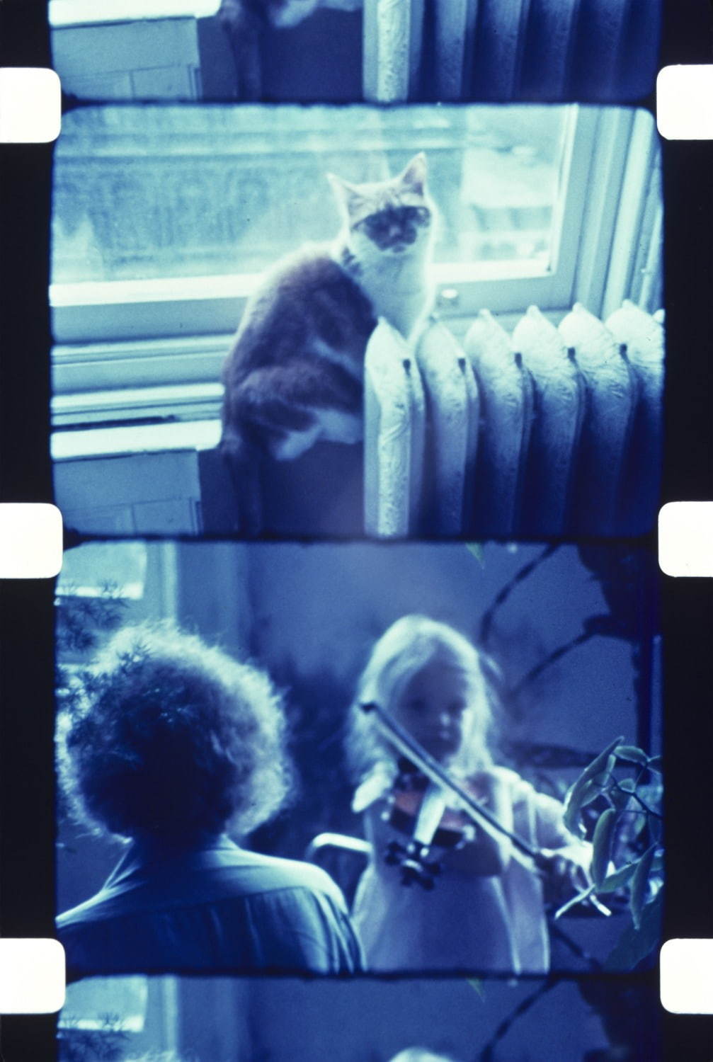 ジョナス・メカス 《猫のサンシャインに見守られヴァイオリンの練習をするウーナ、ソーホー、ニューヨーク、1977年》 「いまだ失われざる楽園」より 1977年 個人蔵