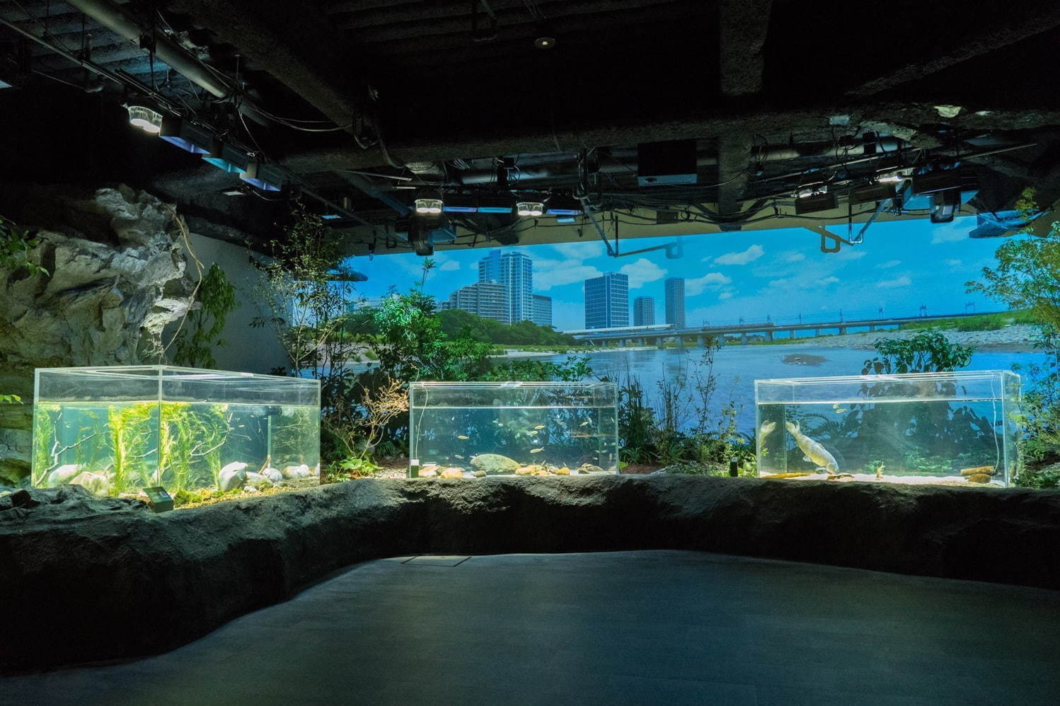 カワスイ 川崎水族館 - 写真3