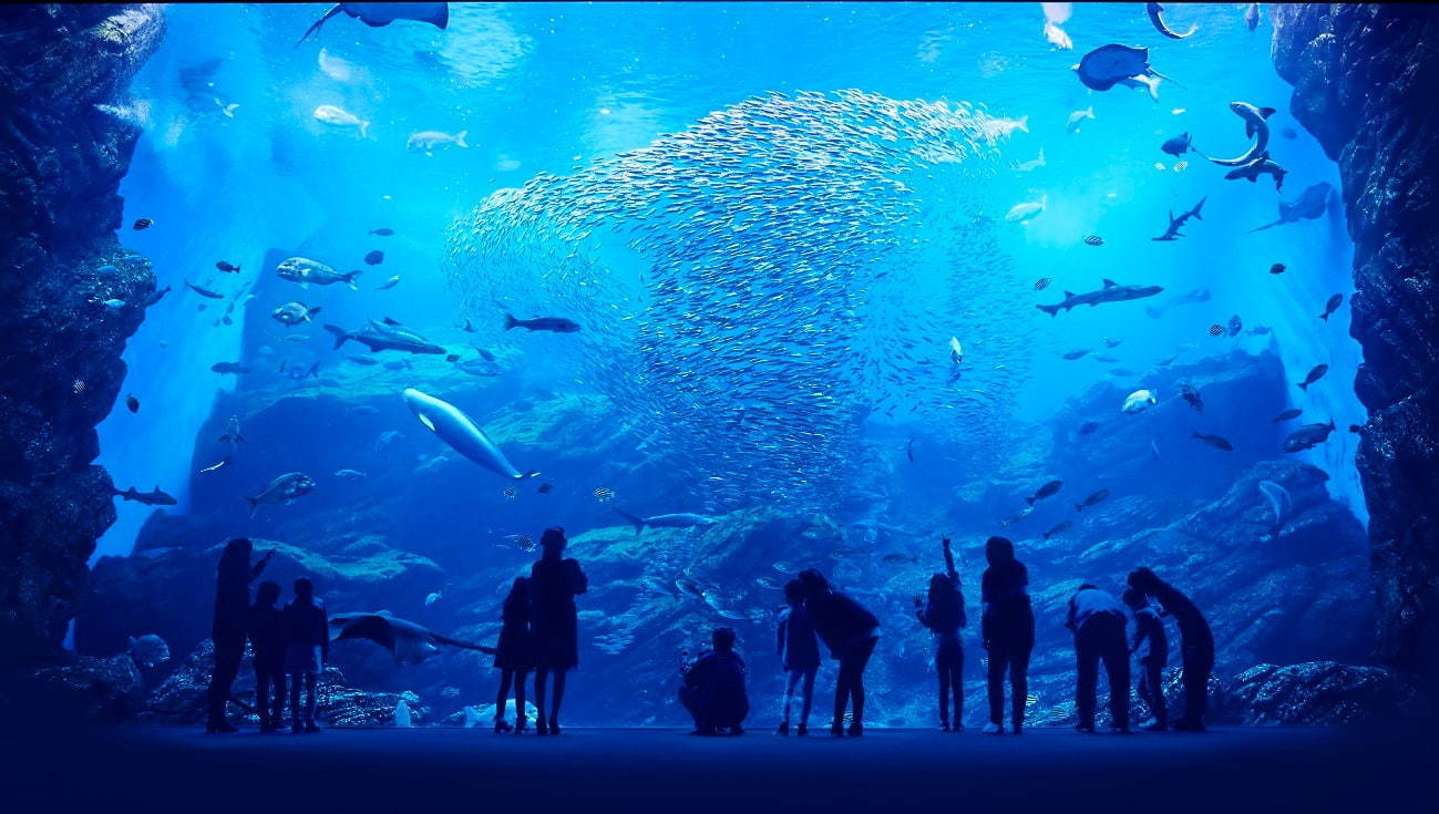 仙台うみの杜水族館 - 写真2