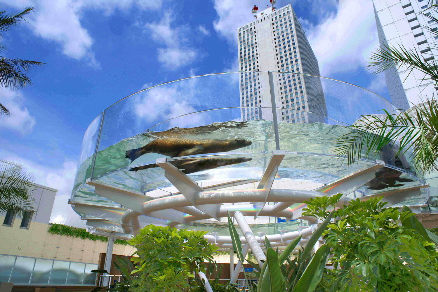 サンシャイン水族館 - 写真2