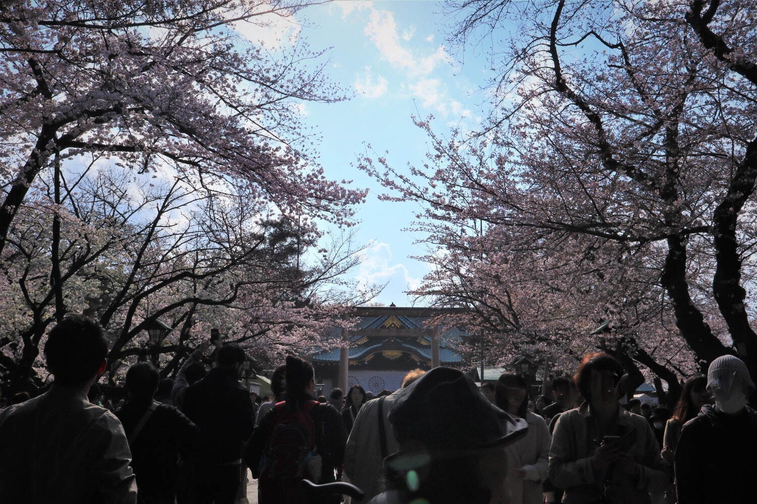 靖国神社 - 写真7