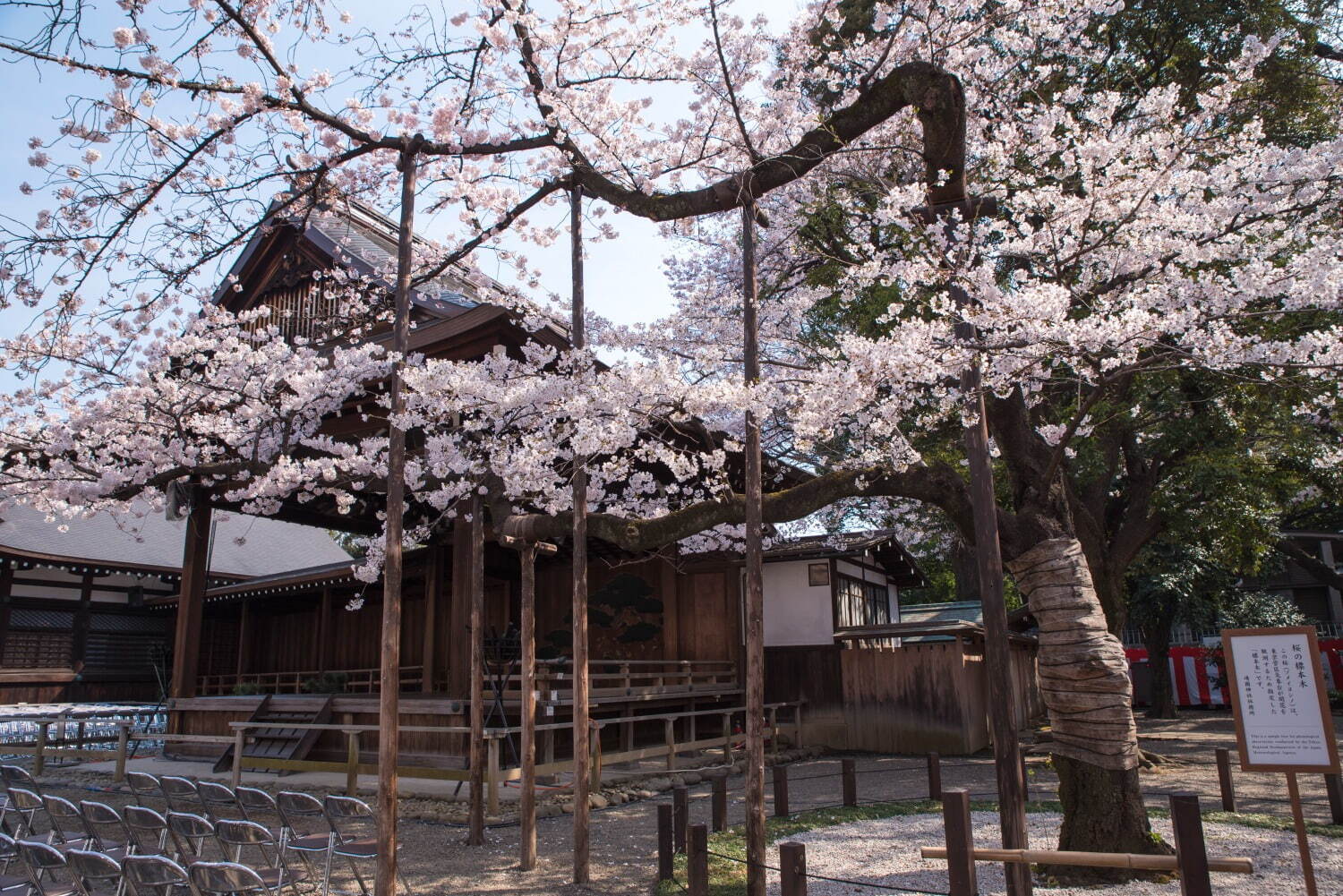 靖国神社 - 写真6