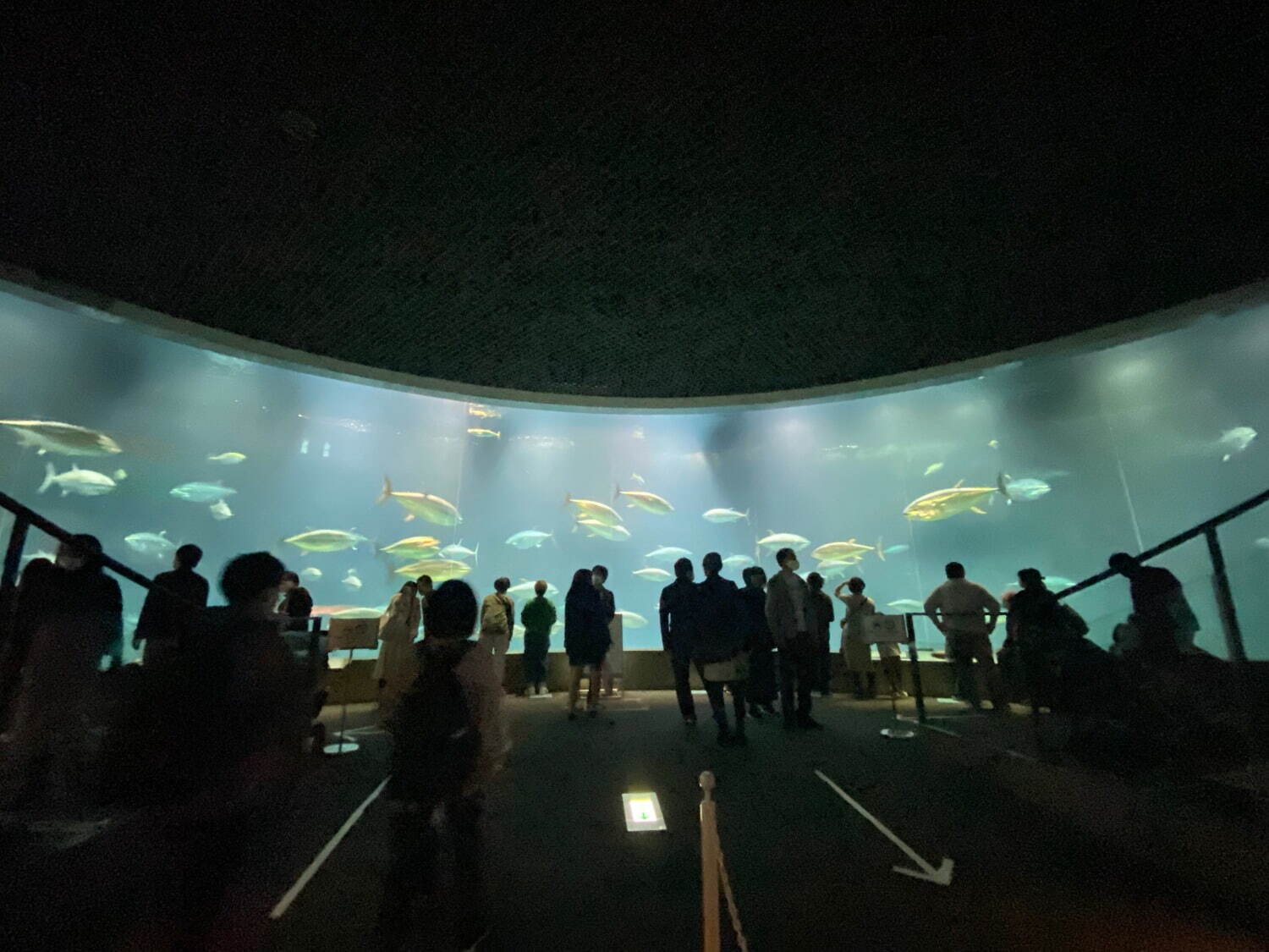 東京都葛西臨海水族園 - 写真3