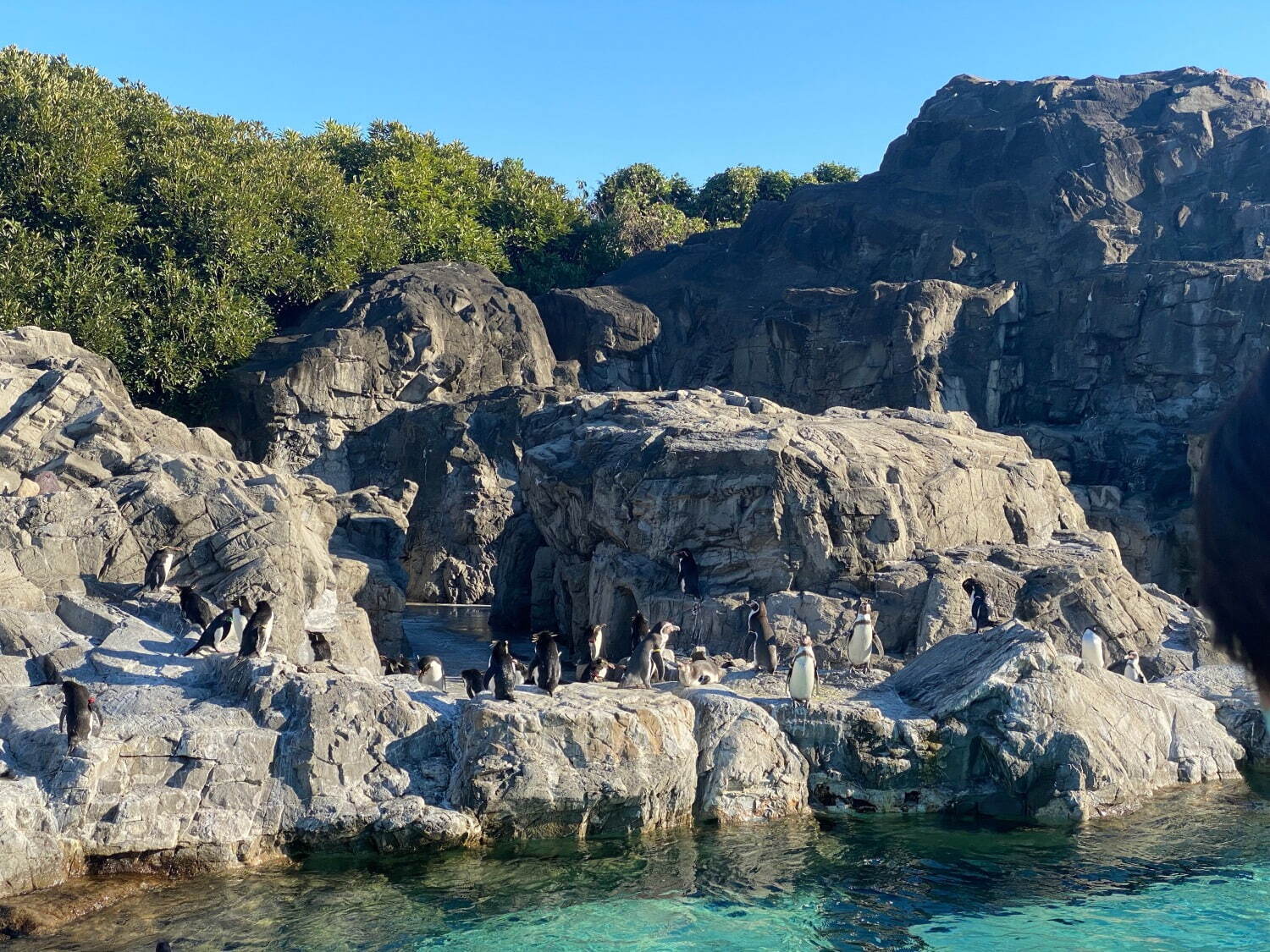 東京都葛西臨海水族園 - 写真4