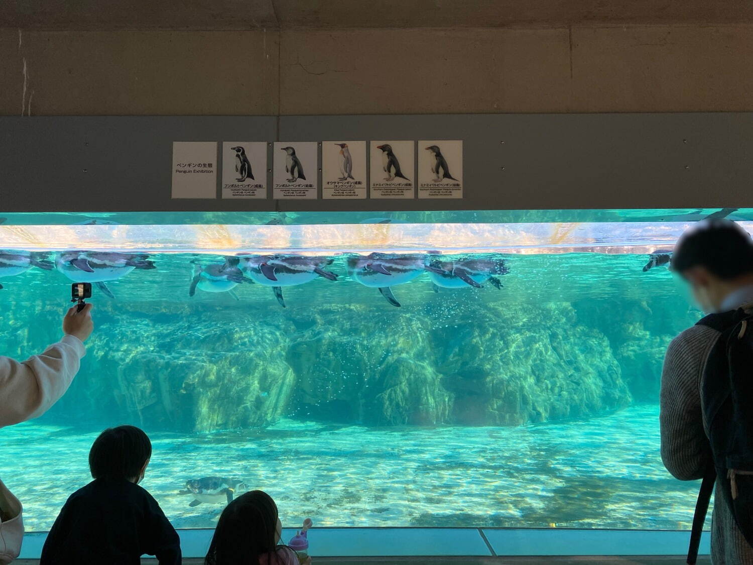 東京都葛西臨海水族園 - 写真5