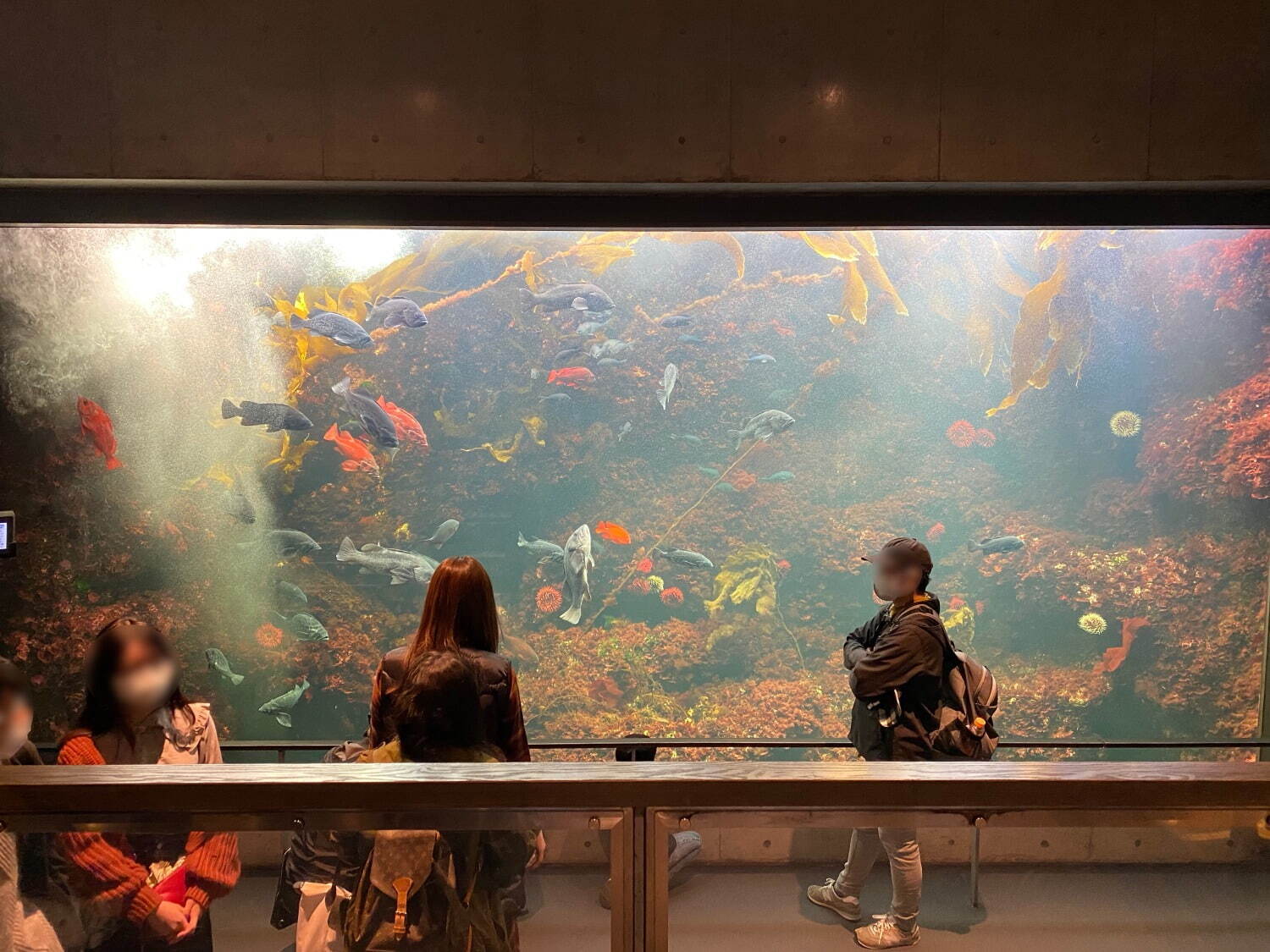 東京都葛西臨海水族園 - 写真6