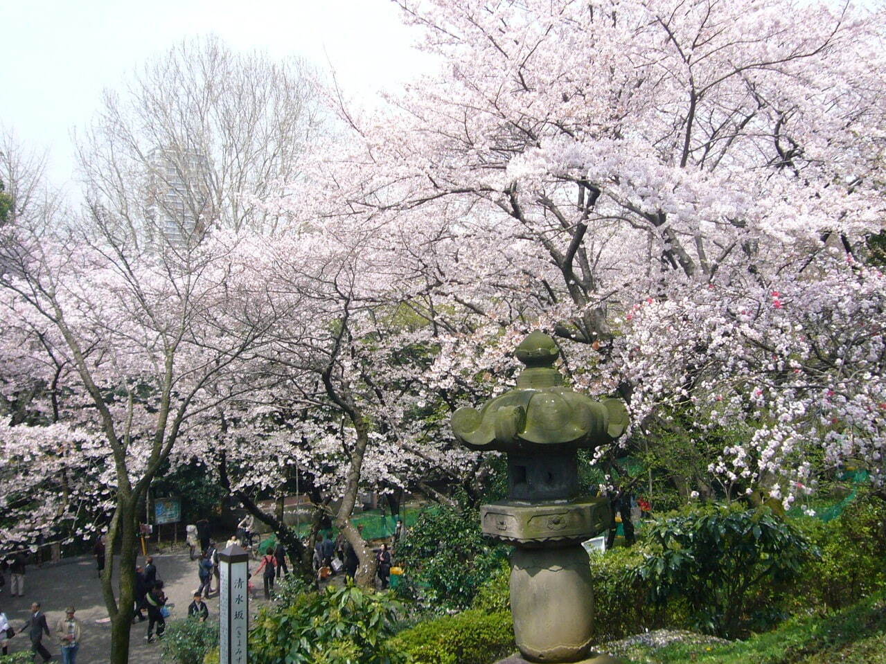 上野恩賜公園 - 写真4