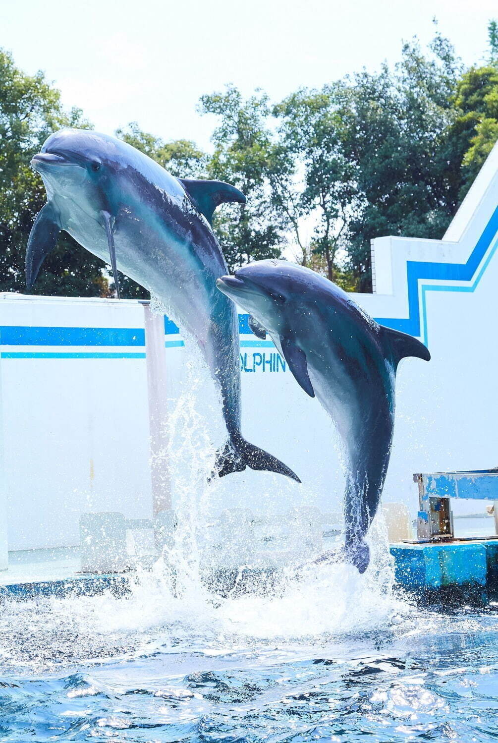 しながわ水族館 画像1枚目