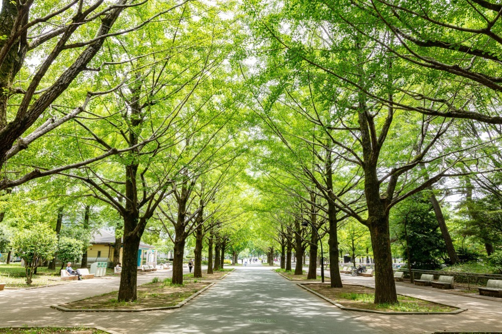 光が丘公園 - 写真3