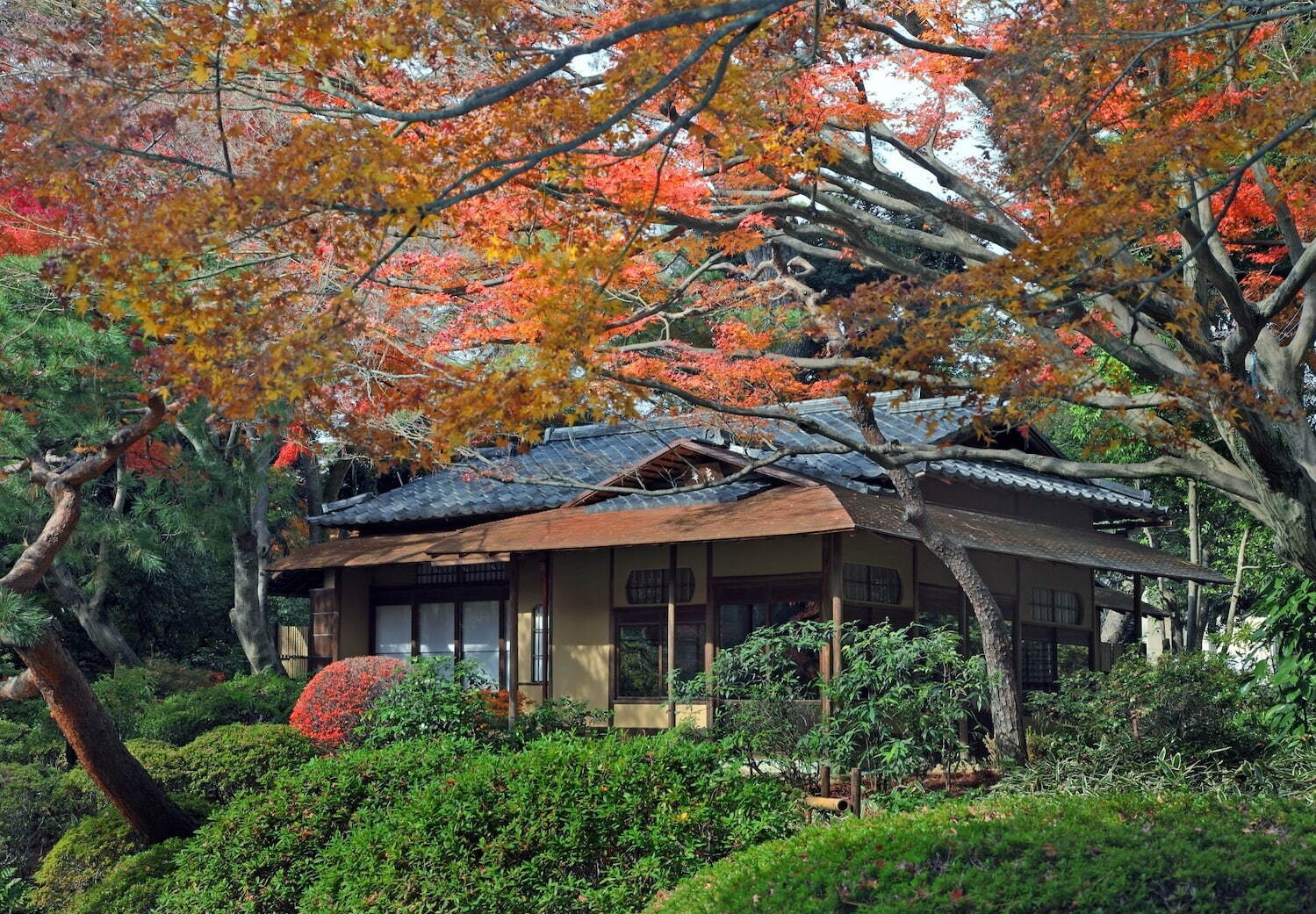 東京都庭園美術館 - 写真18