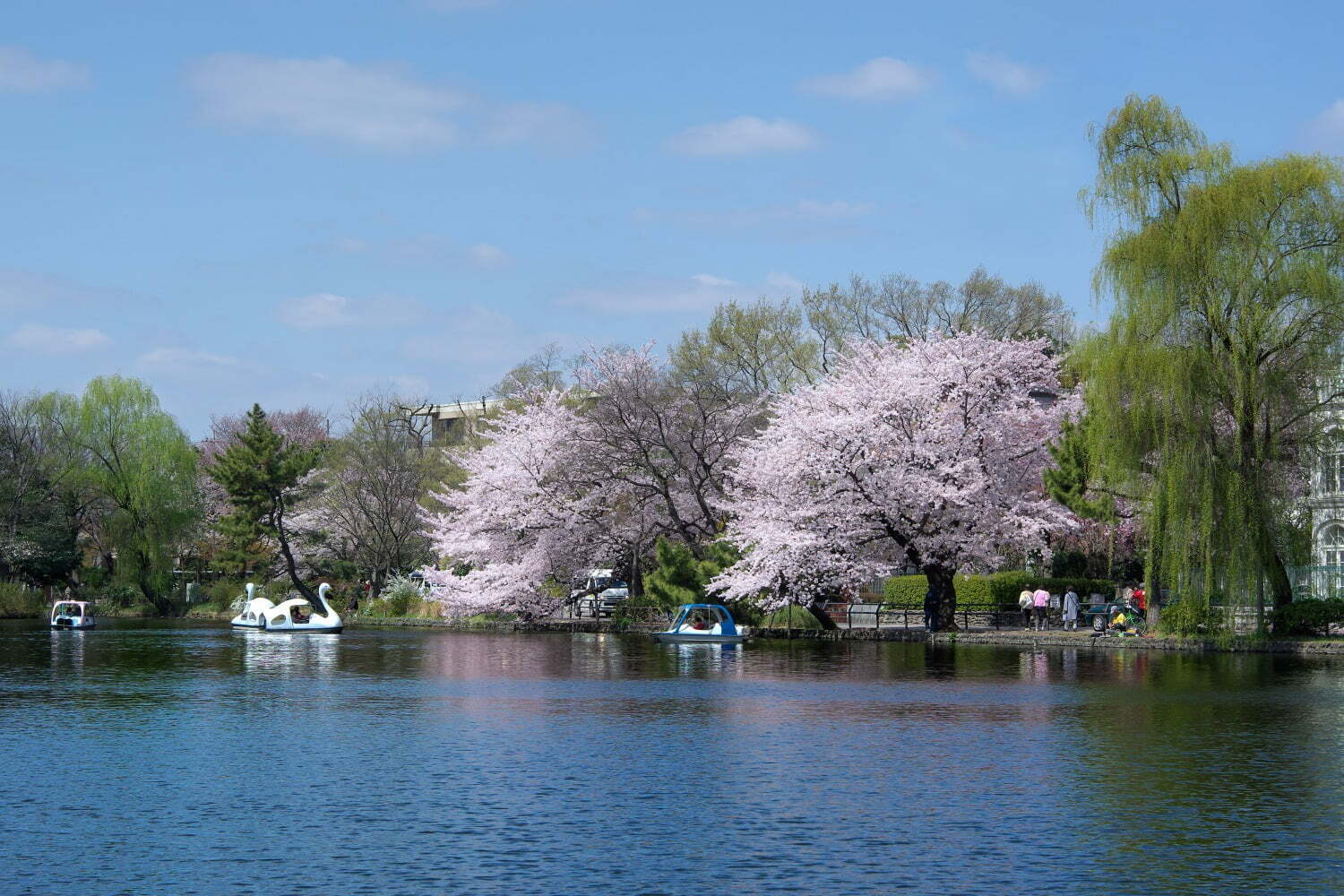 東京都内の大型公園一覧 デートやピクニックにおすすめな人気 穴場公園を一挙紹介 ファッションプレス