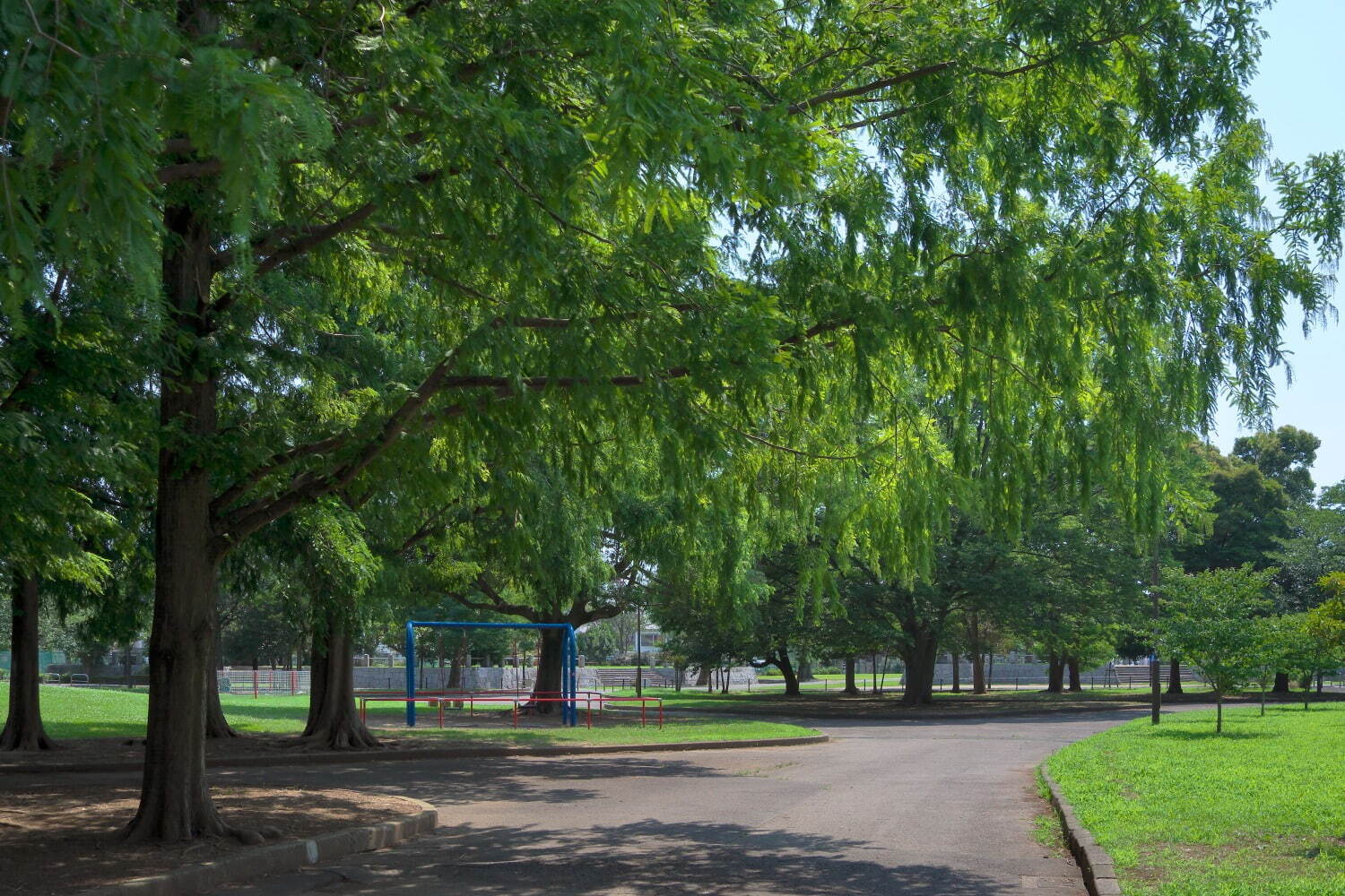 篠崎公園 - 写真2