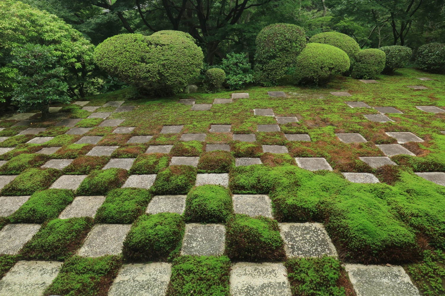 東福寺 - 写真2