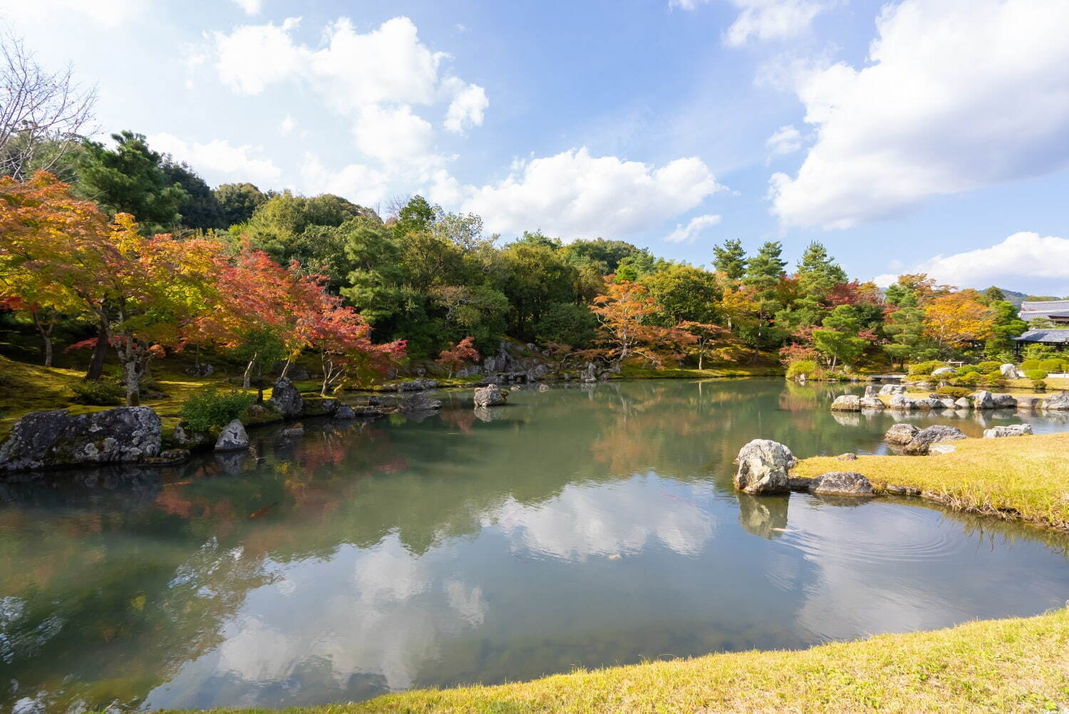 天龍寺 - 写真2