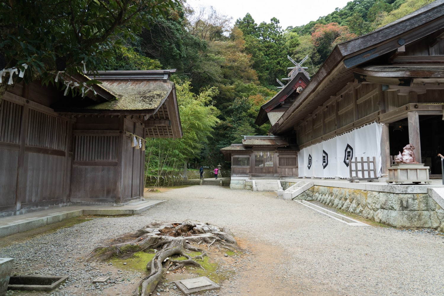 美保神社 - 写真10