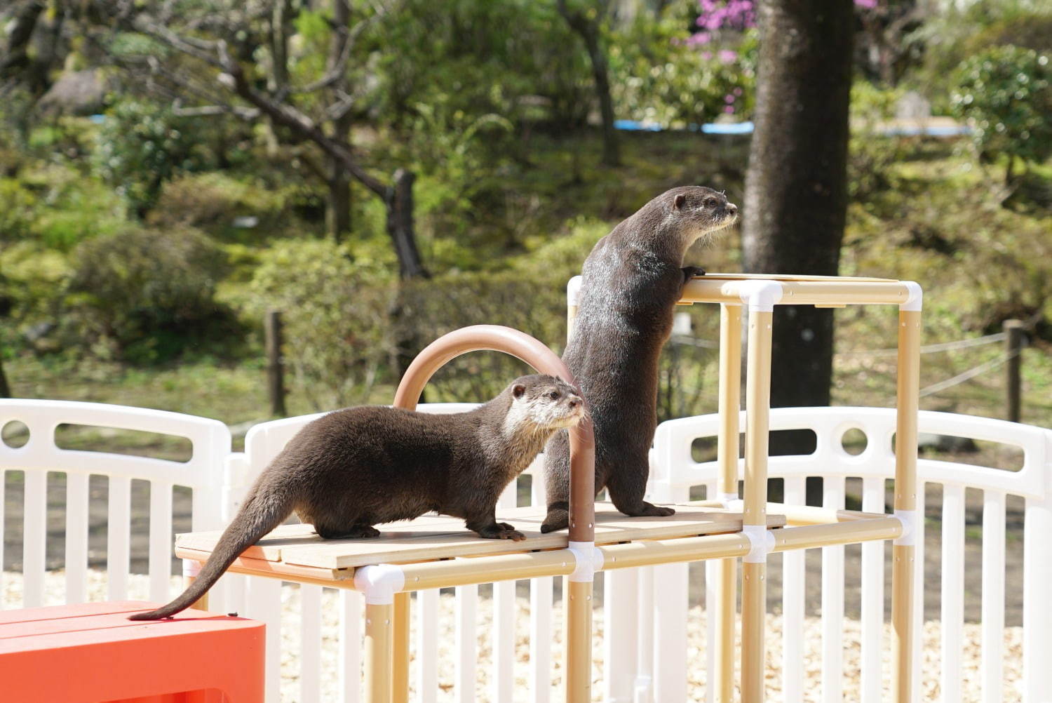 はなびより - 写真59