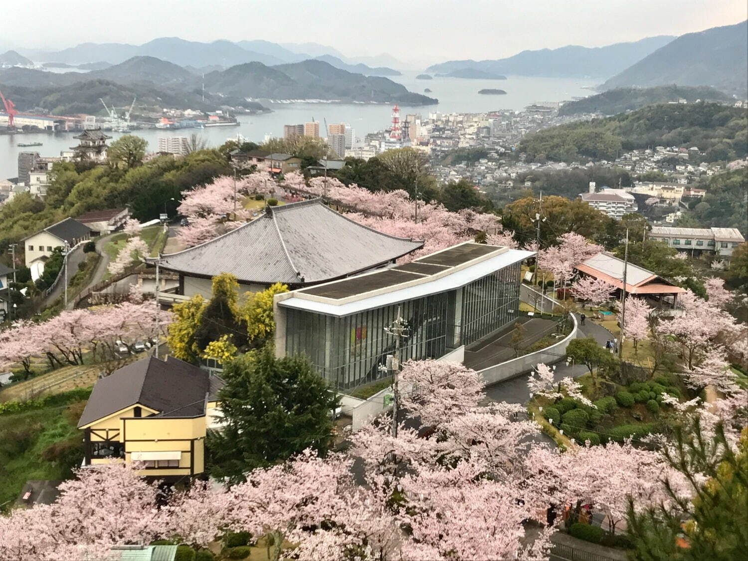 尾道市立美術館 - 写真2