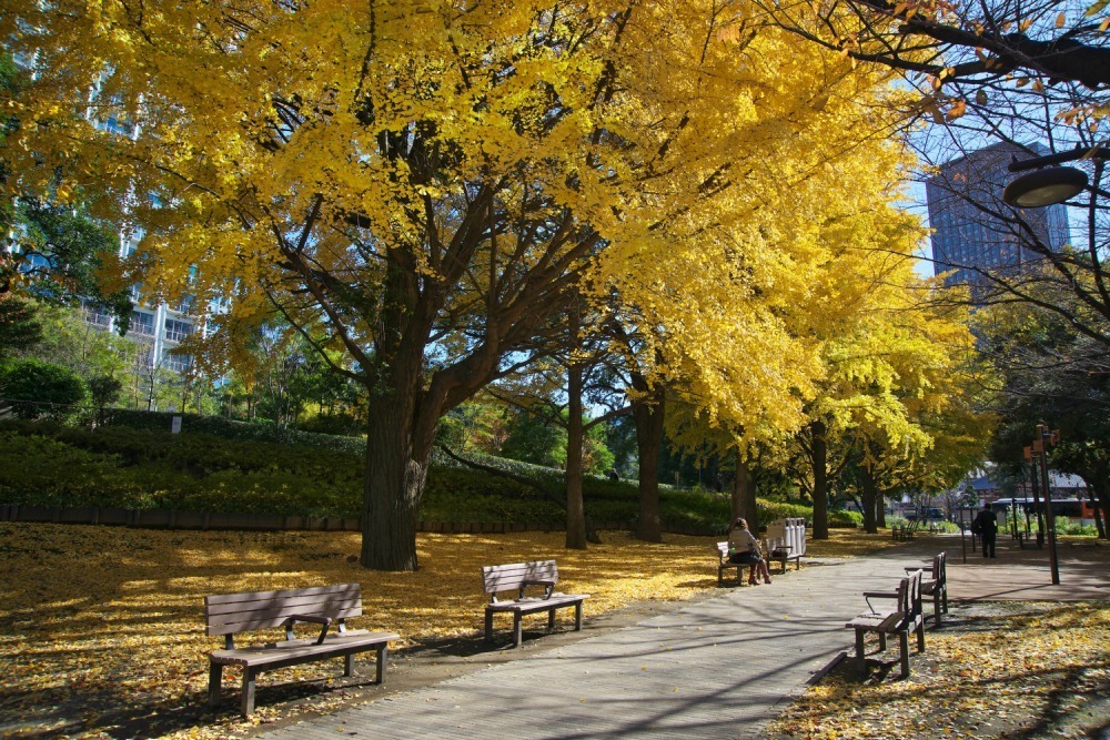 港区立芝公園 - 写真4