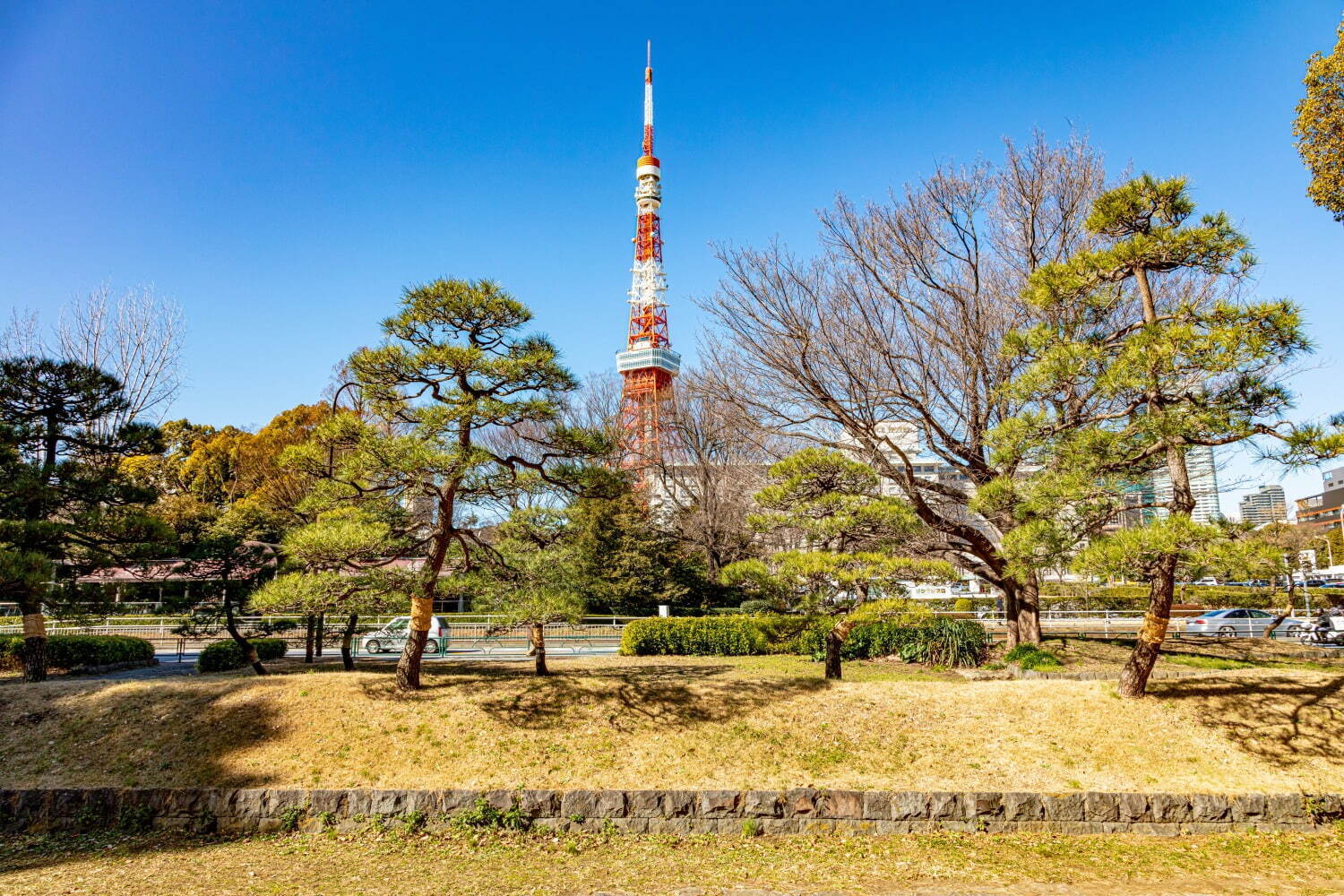 港区立芝公園 - 写真2