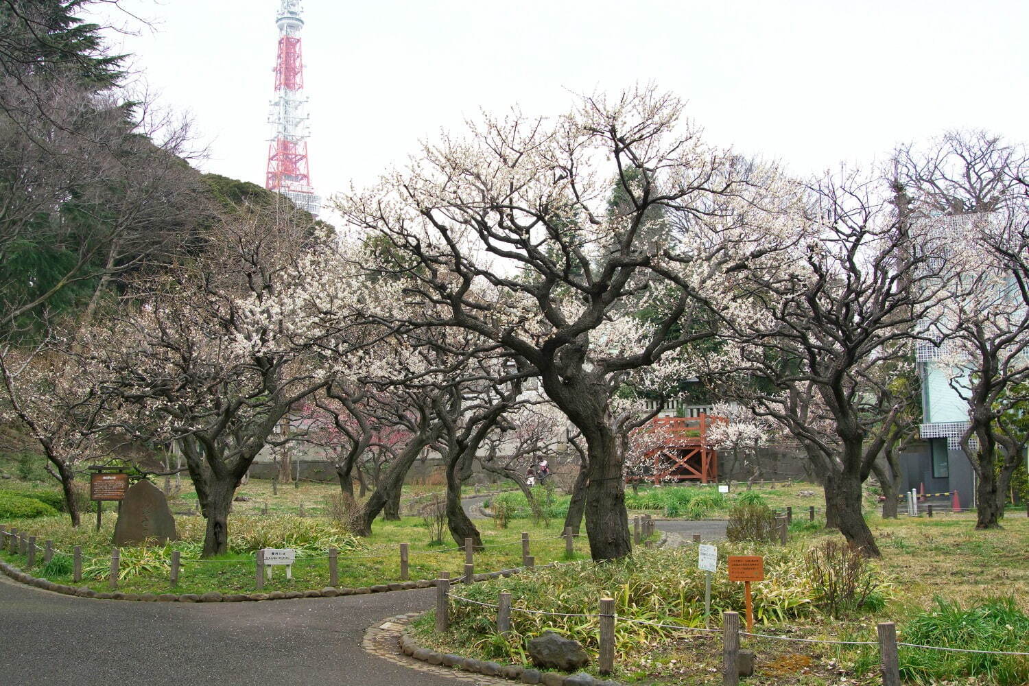 港区立芝公園 - 写真3