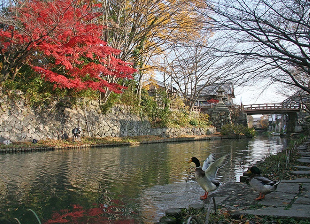 八幡堀 - 写真2