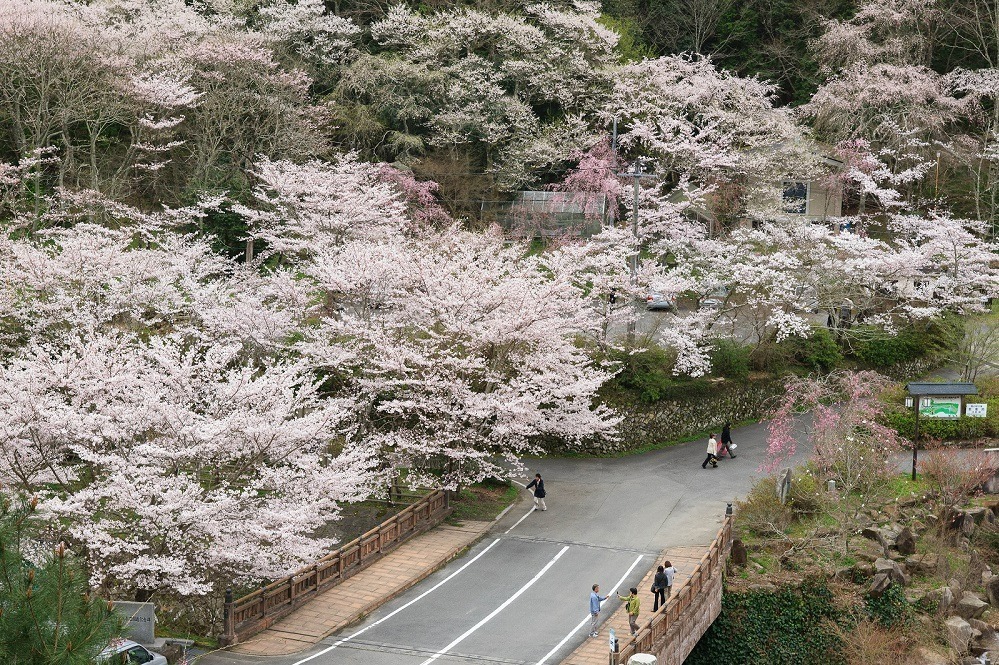 御調八幡宮 - 写真2