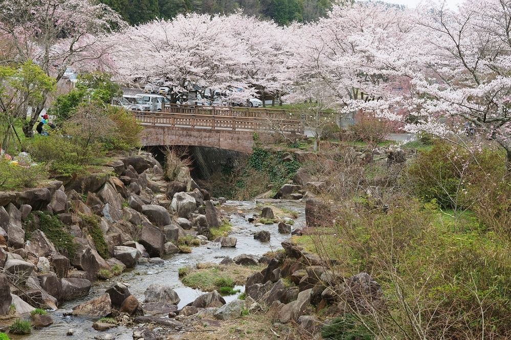 御調八幡宮 画像1枚目