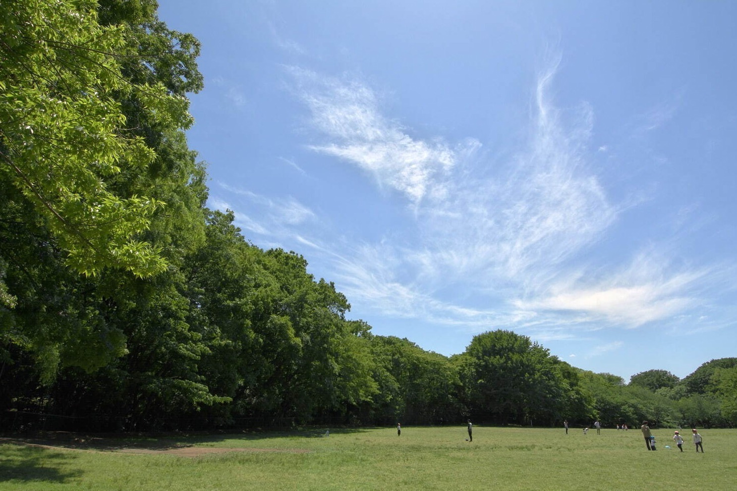 東京都内の大型公園一覧 デートやピクニックにおすすめな人気 穴場公園を一挙紹介 ファッションプレス