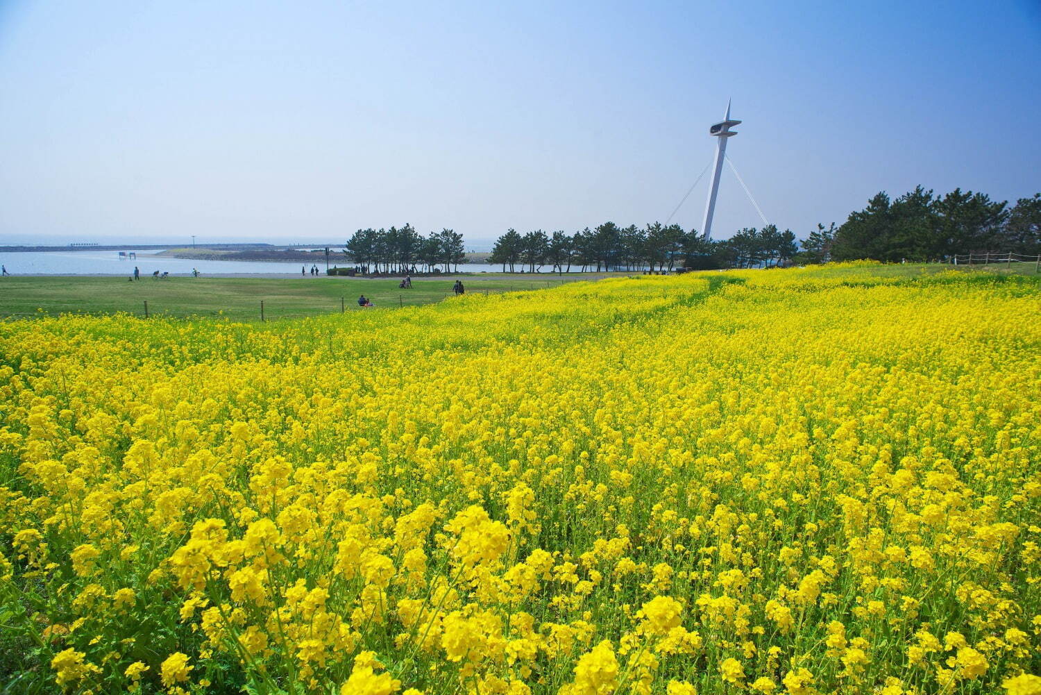 葛西臨海公園 - 写真4