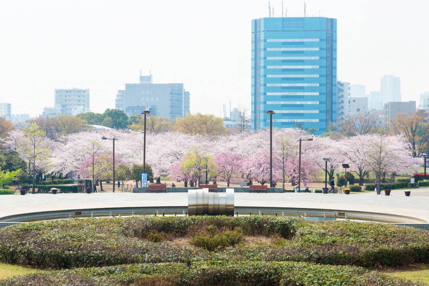 木場公園 - 写真2