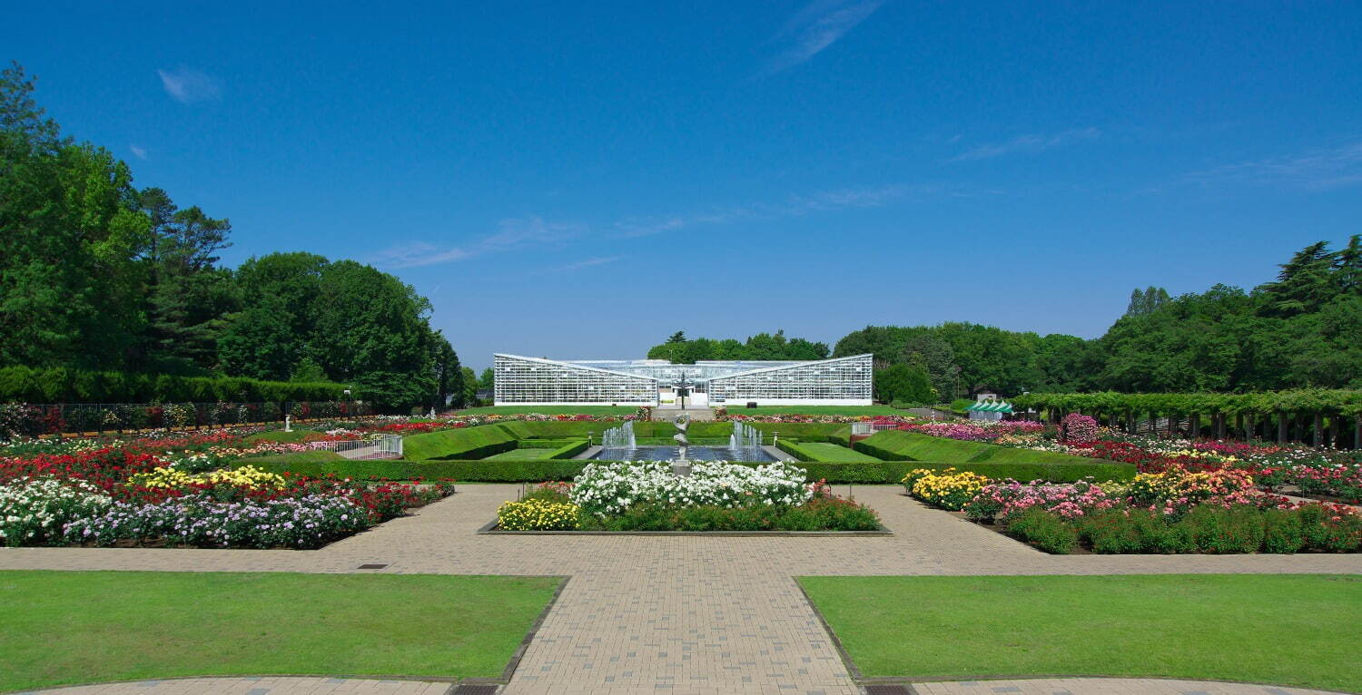 神代植物公園 - 写真2