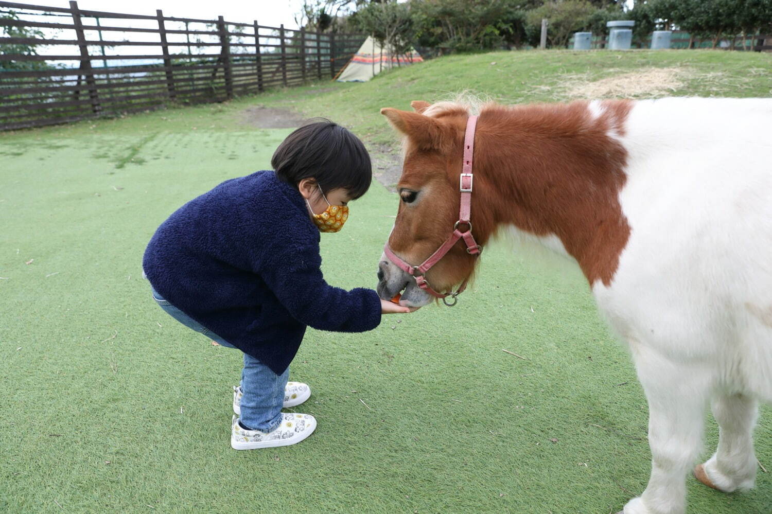 京急油壺温泉キャンプパーク - 写真5