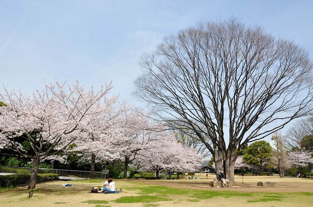 北の丸公園 - 写真2