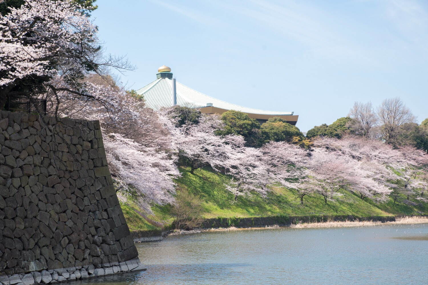 北の丸公園 - 写真4