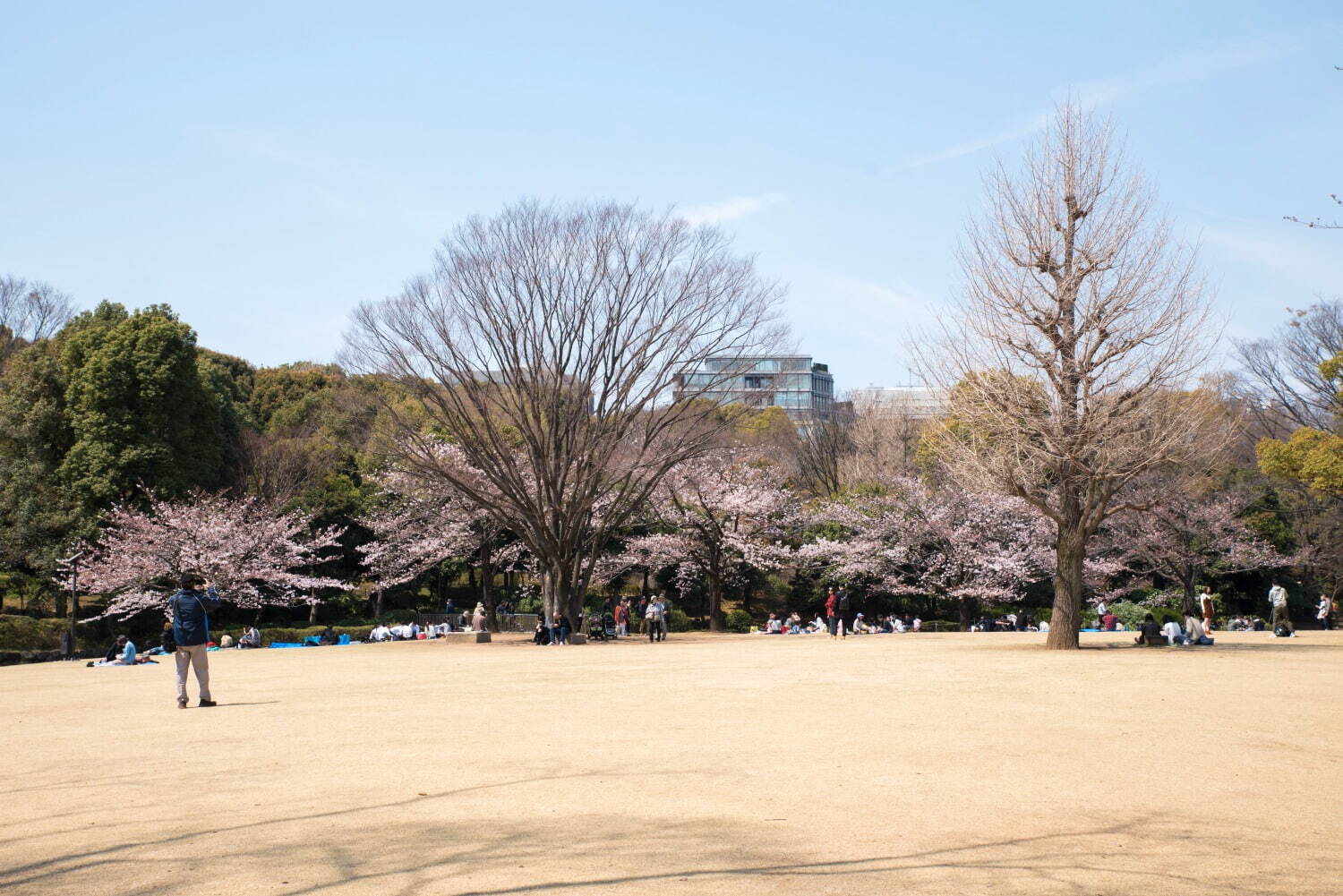 北の丸公園 - 写真5