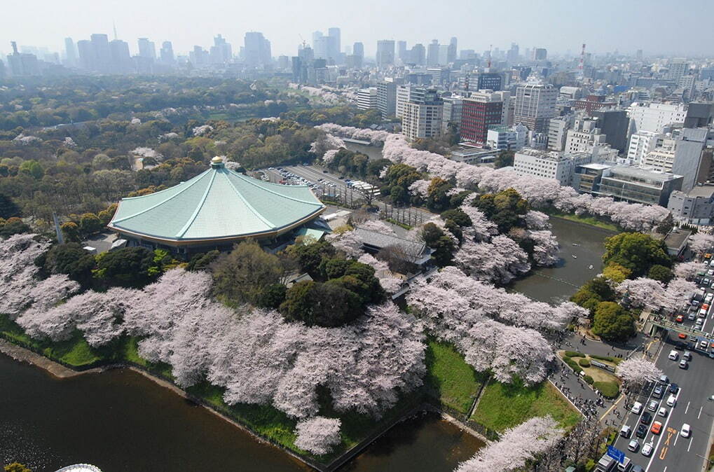 北の丸公園 - 写真1