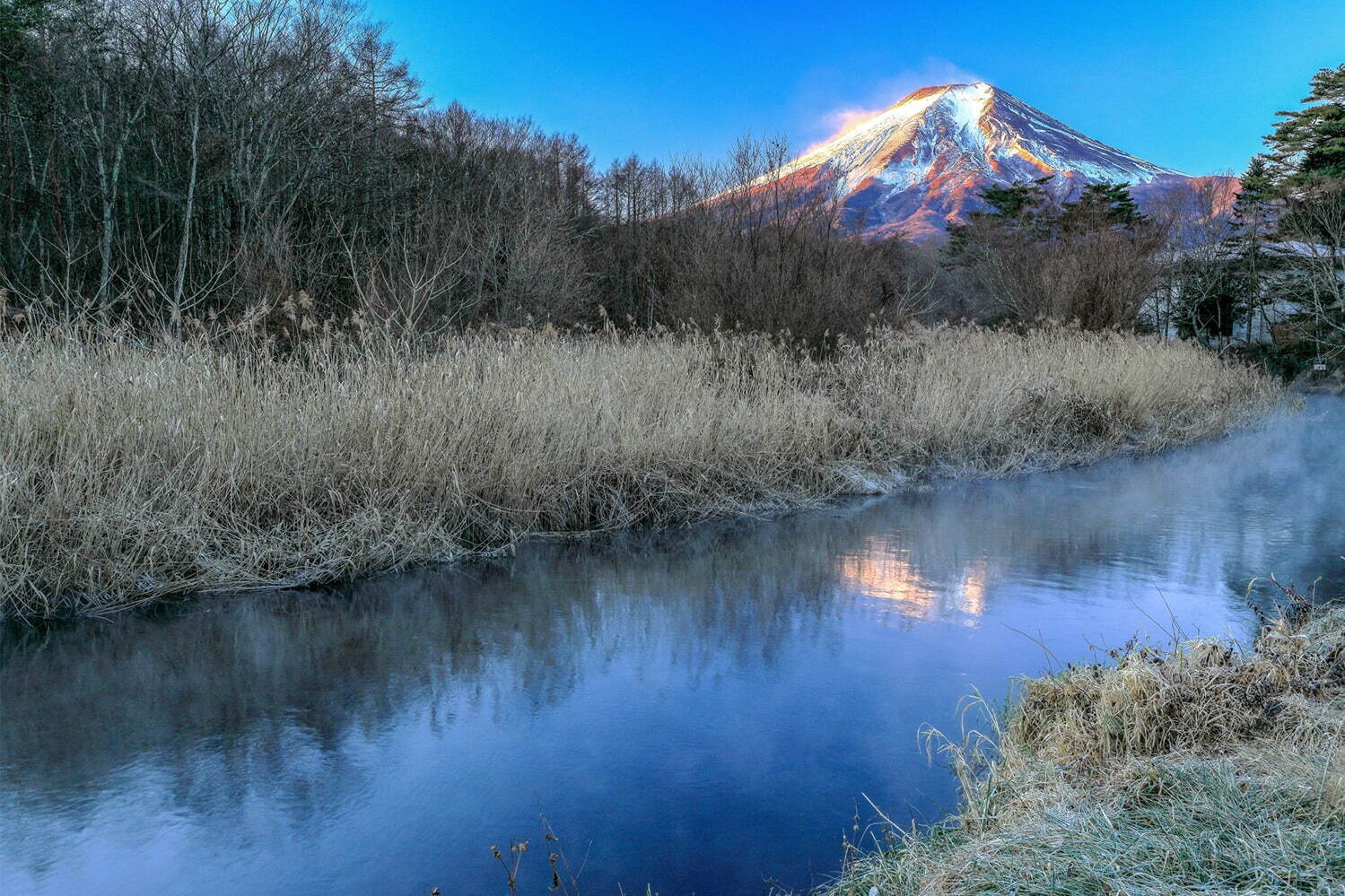 グランドーム富士忍野 - 写真17