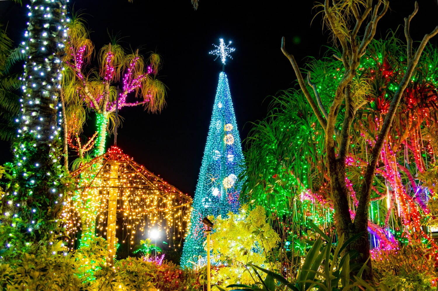 美らヤシパークオキナワ・東南植物楽園 - 写真6