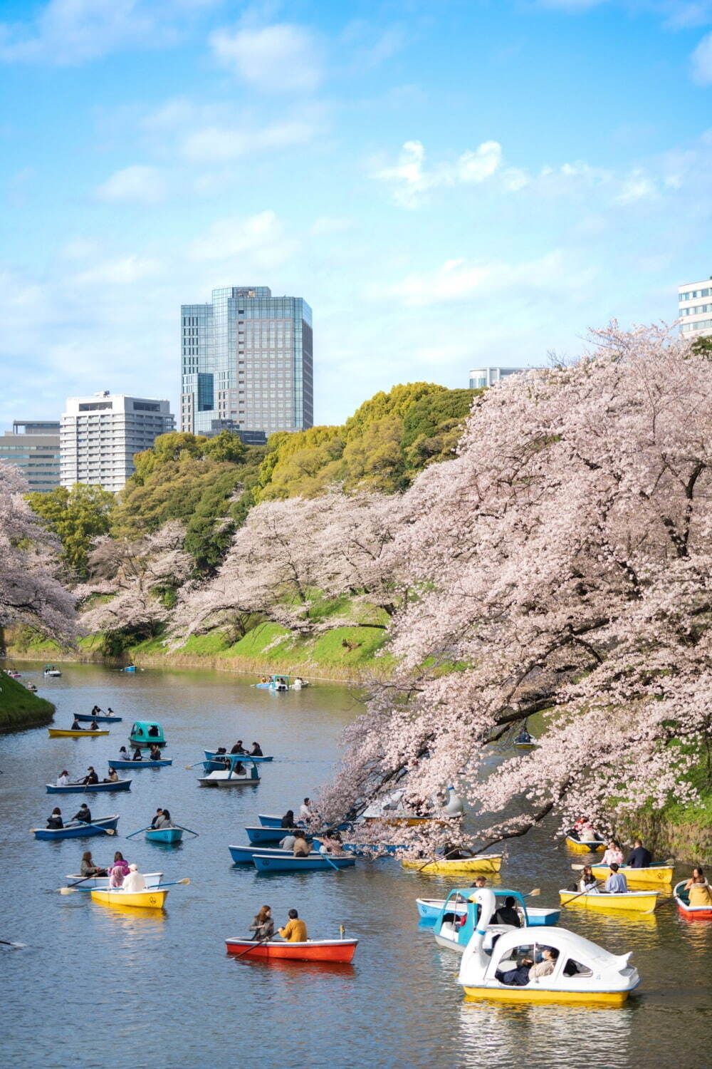 千鳥ヶ淵緑道 - 写真6