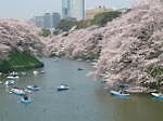 千鳥ヶ淵緑道