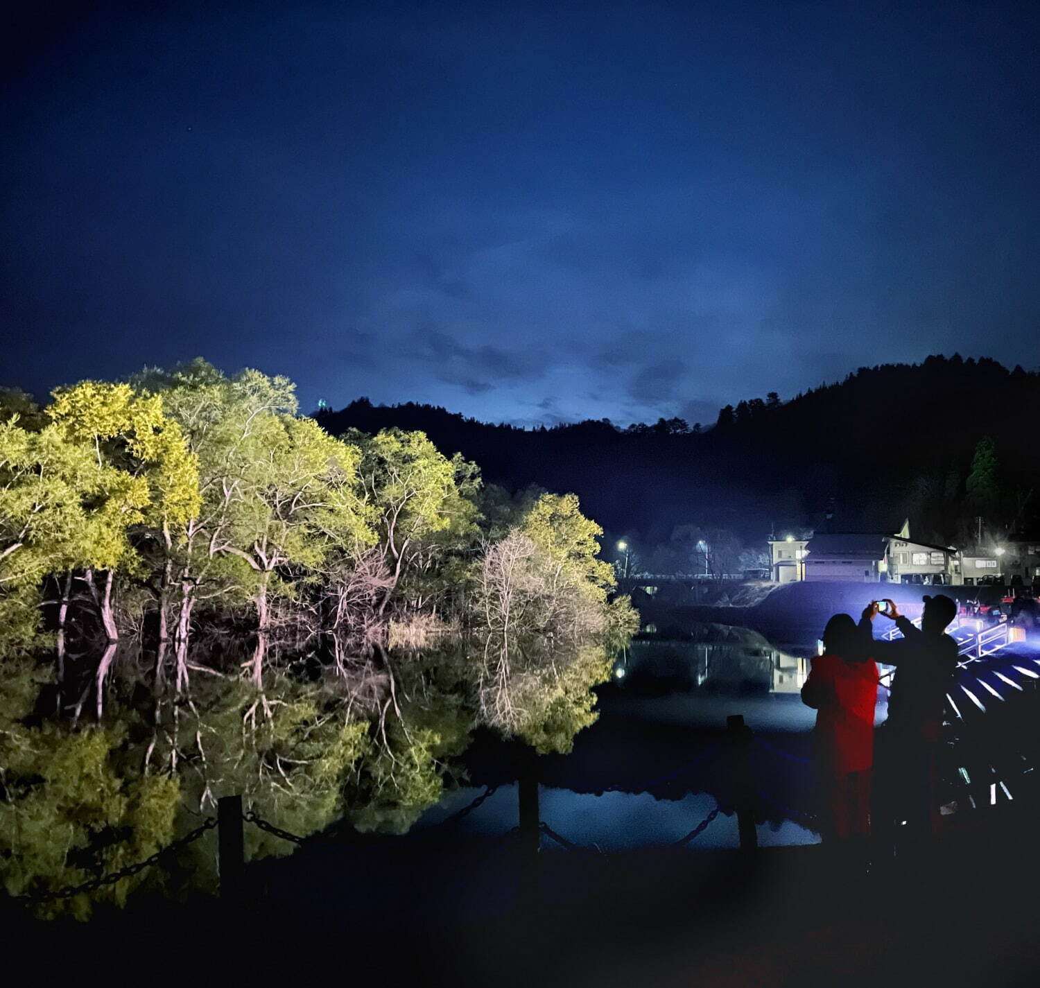 白川湖の水没林 - 写真6