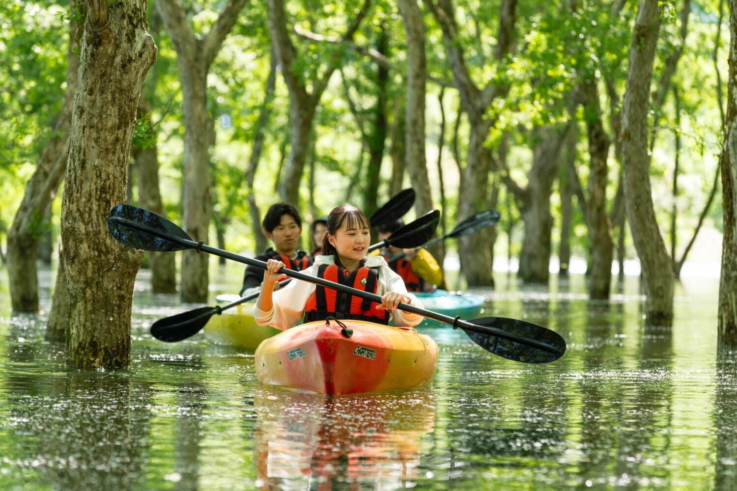 白川湖の水没林 - 写真7