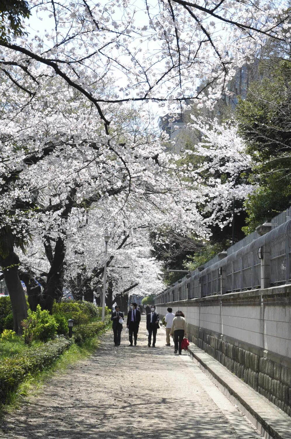 駐日英国大使館 画像1枚目